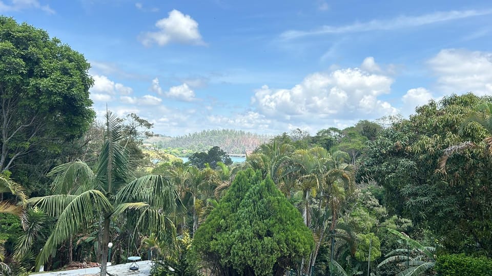 Natural landscape