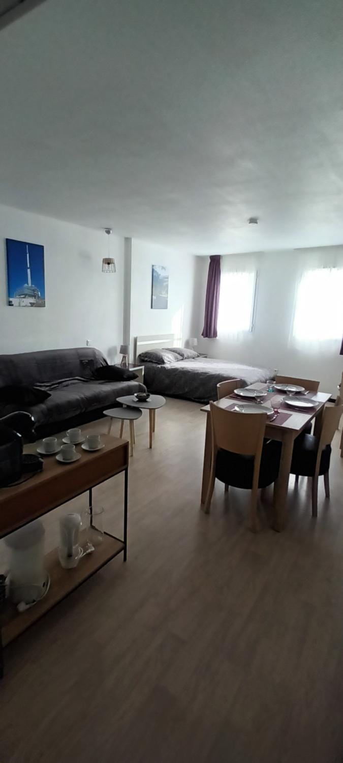 Lourdes grand studio classé 2 étoiles de 1 à 4 personnes Apartment in Lourdes