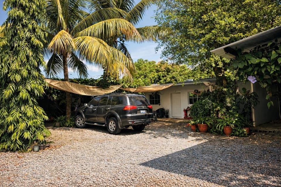 Garden, Parking