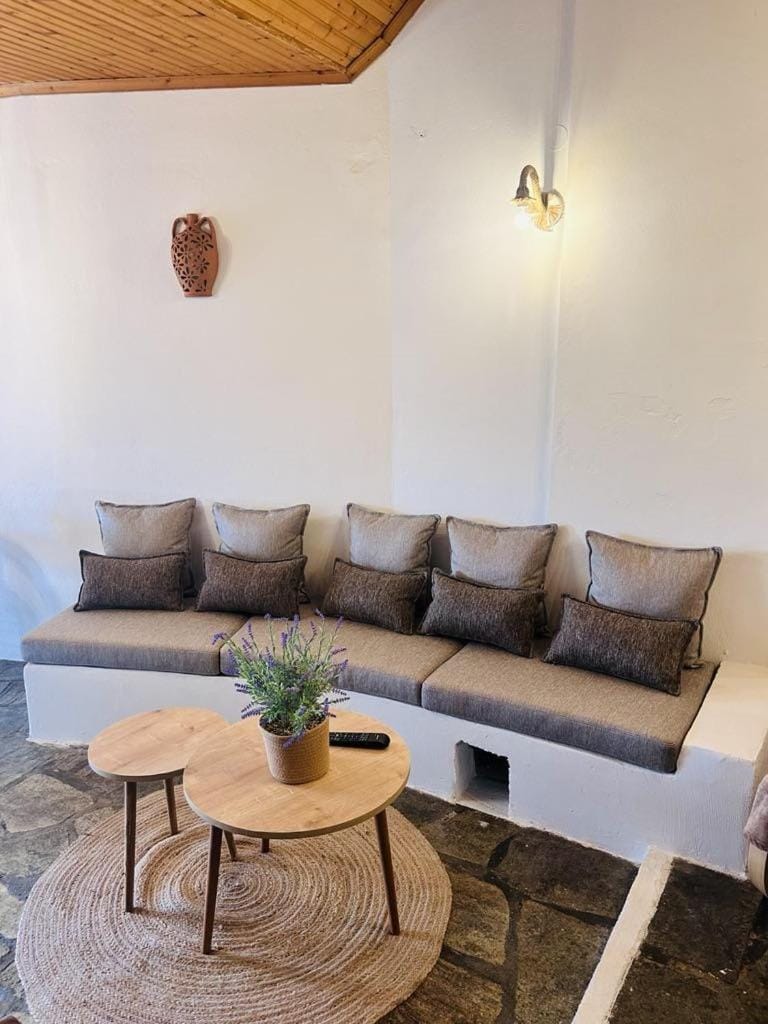 COZY VILLAGE HOUSE ΑΓΙΟΣ ΛΑΥΡΕΝΤΙΟΣ ΠΗΛΙΟΥ House in Magnesia Prefecture, Greece