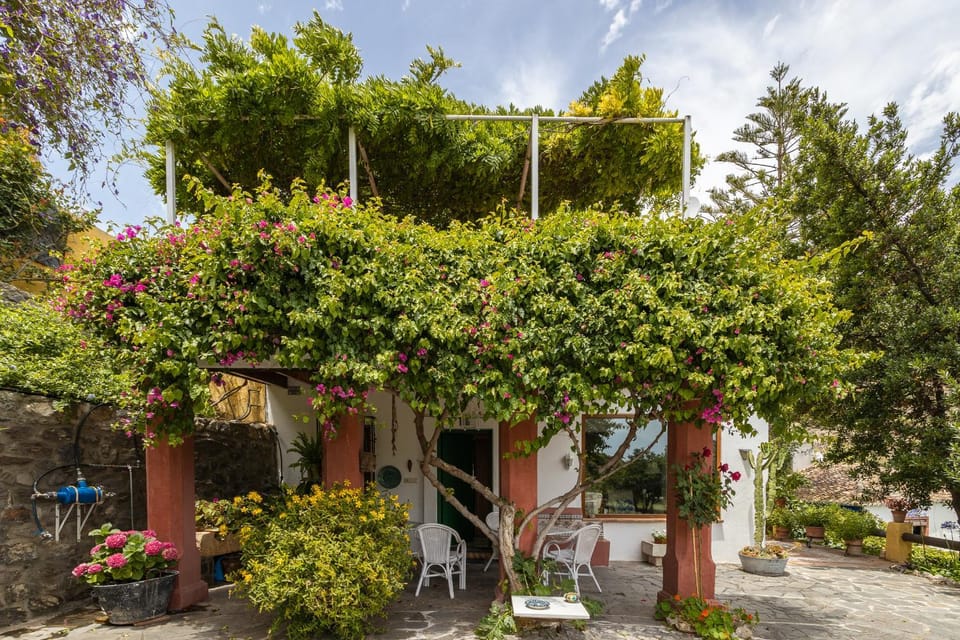 Property building, Natural landscape