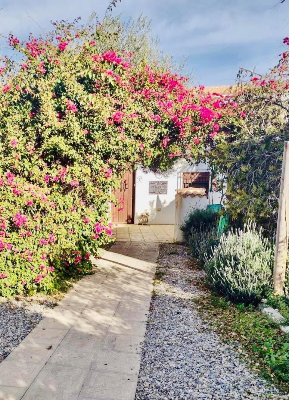 Facade/entrance, Garden, Garden view