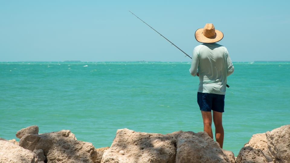 Day, People, Natural landscape, Activities, Fishing, Fishing, Beach, Guests, Sea view, Sea view, group of guests