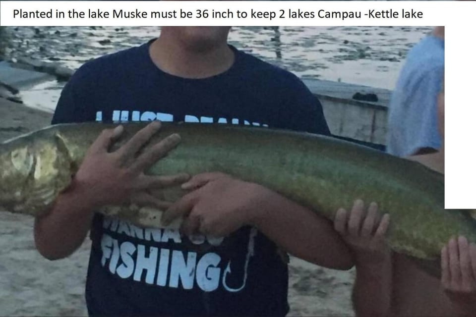 Fishing, Fishing