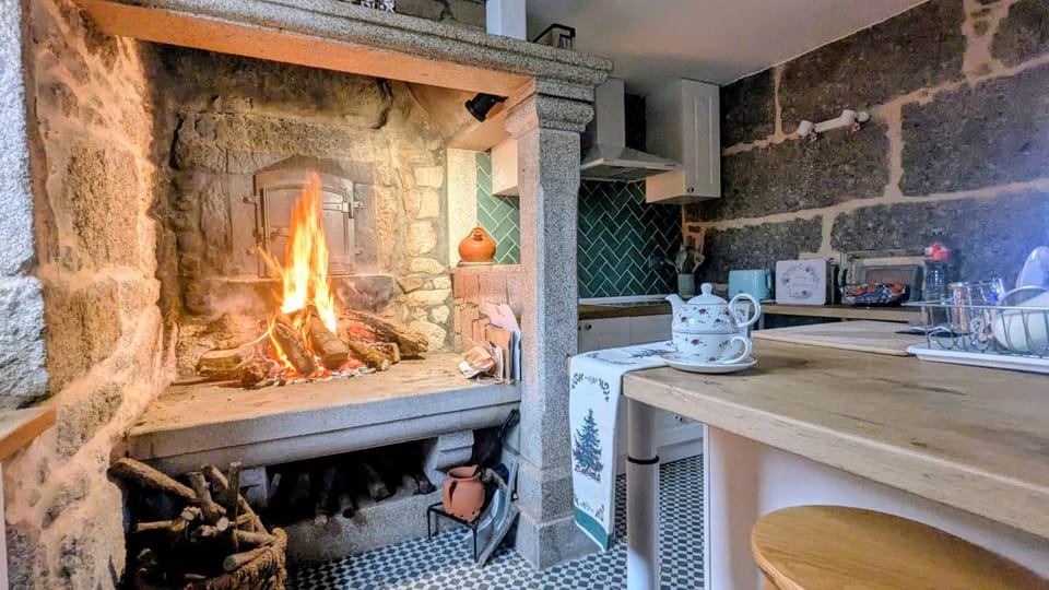 Winter, fireplace, oven, kitchen