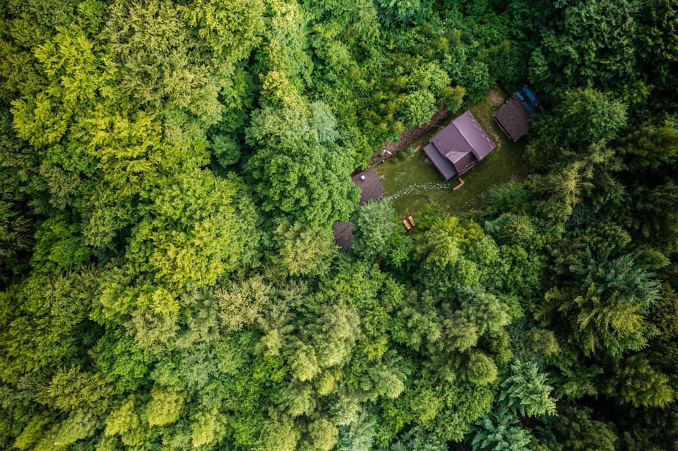 Property building, Spring, Day, Natural landscape, Bird's eye view, Garden, Garden view