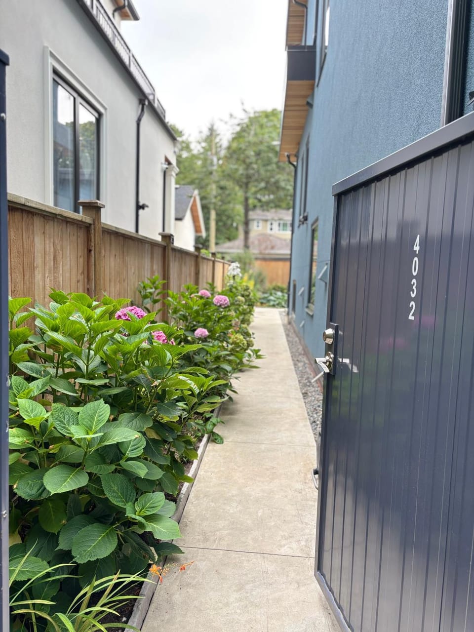Garden view