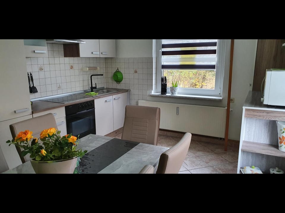 NEU! Ferienwohnung Unger Apartment in Erzgebirgskreis