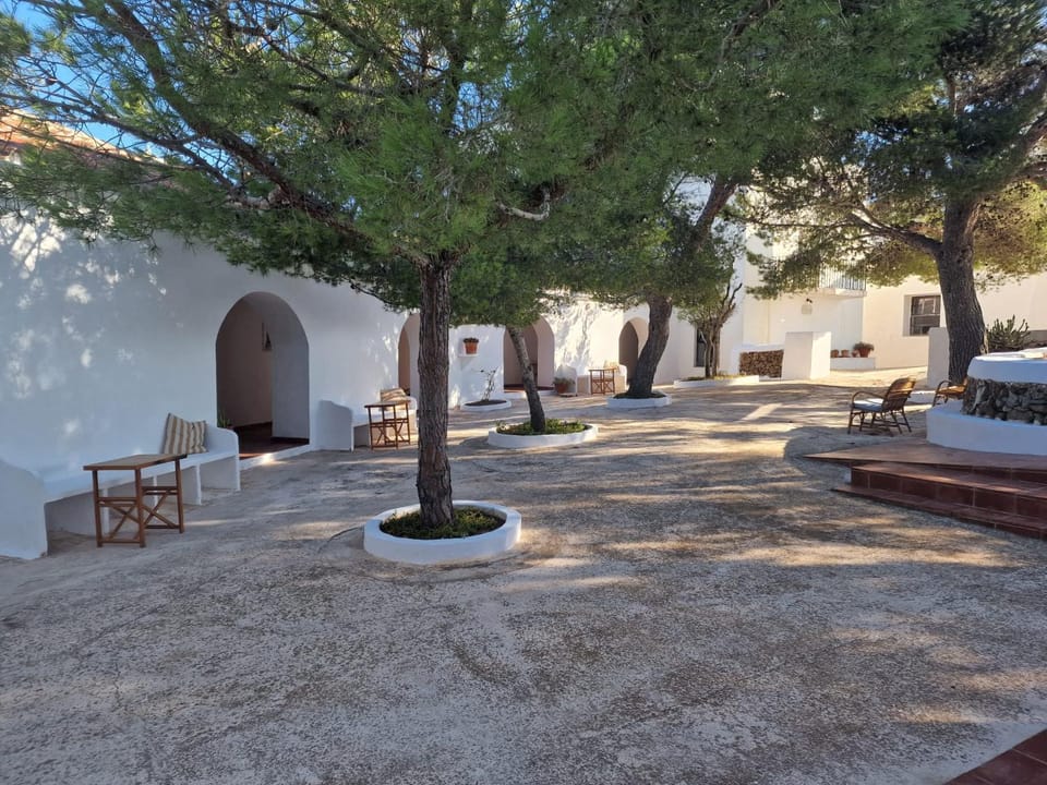 Patio, Natural landscape, Garden view