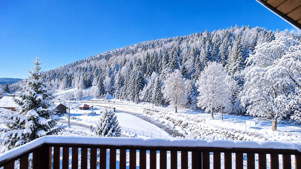 Winter, Mountain view, River view