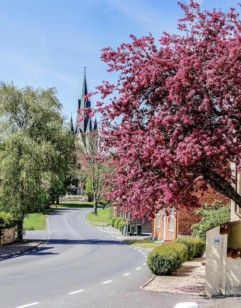 Nearby landmark, Spring, Neighbourhood, Landmark view, Street view, Location