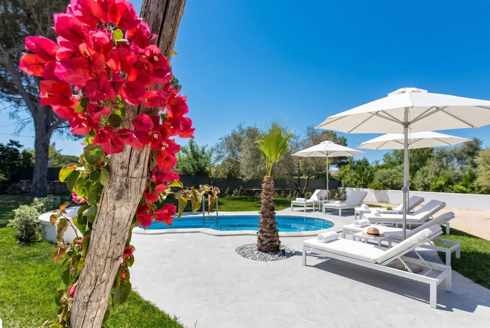 Patio, Natural landscape, Garden, Garden view, Pool view, Swimming pool, sunbed