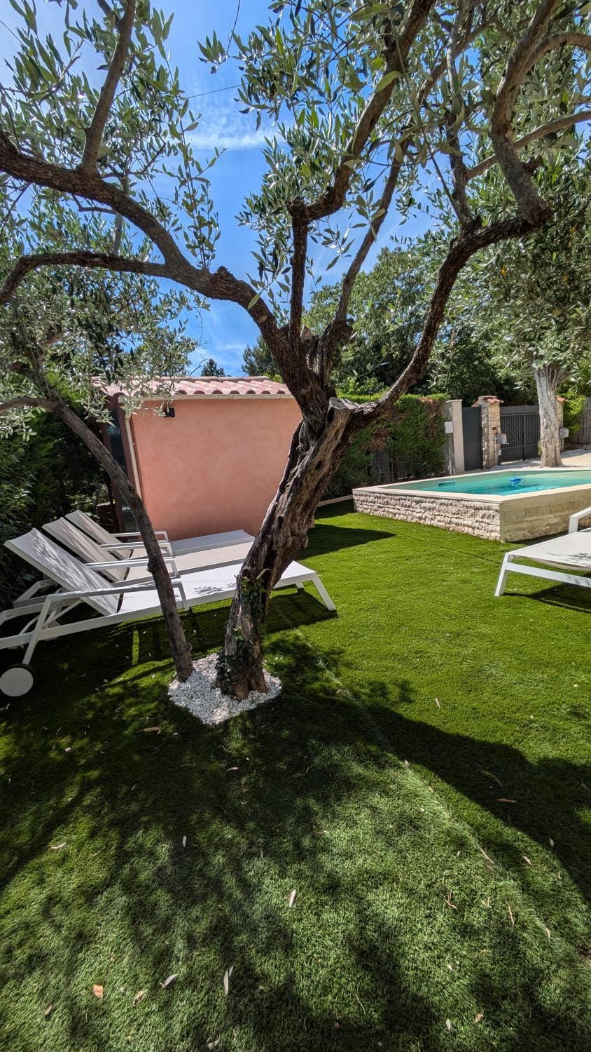 Property building, Garden, Garden view