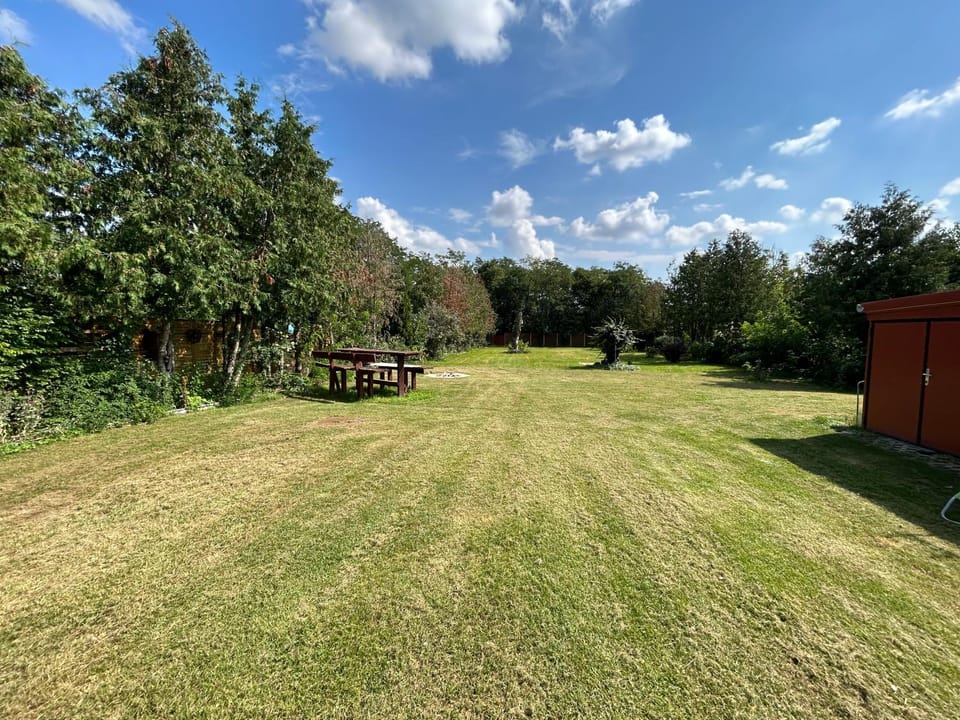 Spring, Day, Garden, Garden view