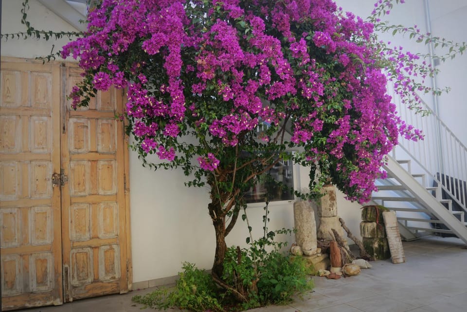 Casa de la Fra Apartment in Jerez de la Frontera