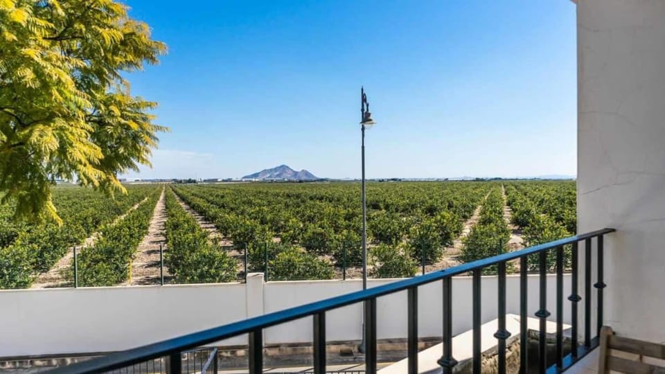 Beautiful apartment with large terrace - MO3412LT Apartment in Region of Murcia