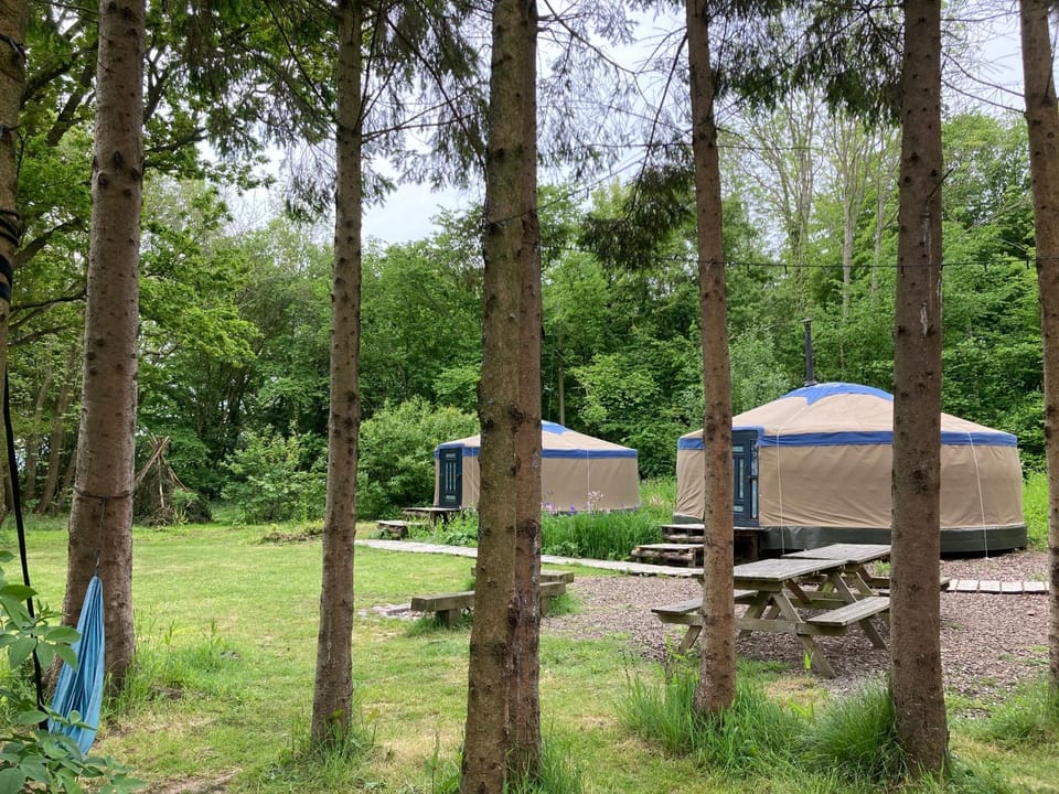 Property building, Garden view
