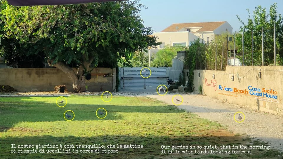 Natural landscape, Garden, Garden view