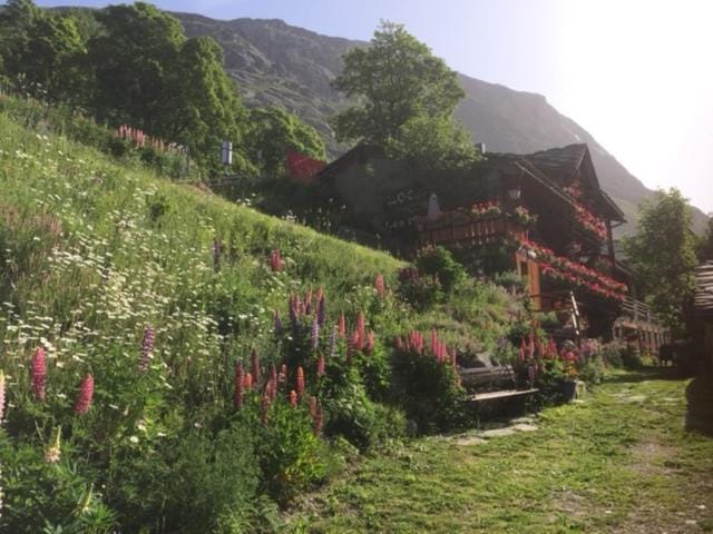 Le p'tit coin montagne Apartment in Bonneval-sur-Arc