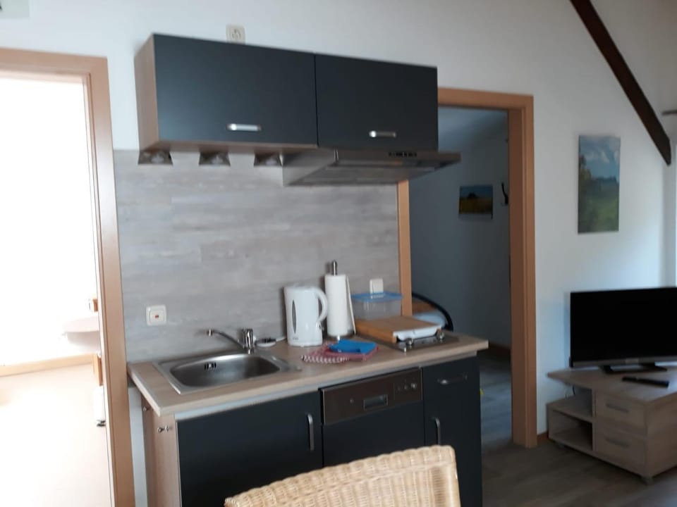 Ferienwohnungen Antonsruh im Kirnitzschtal Apartment in Bad Schandau