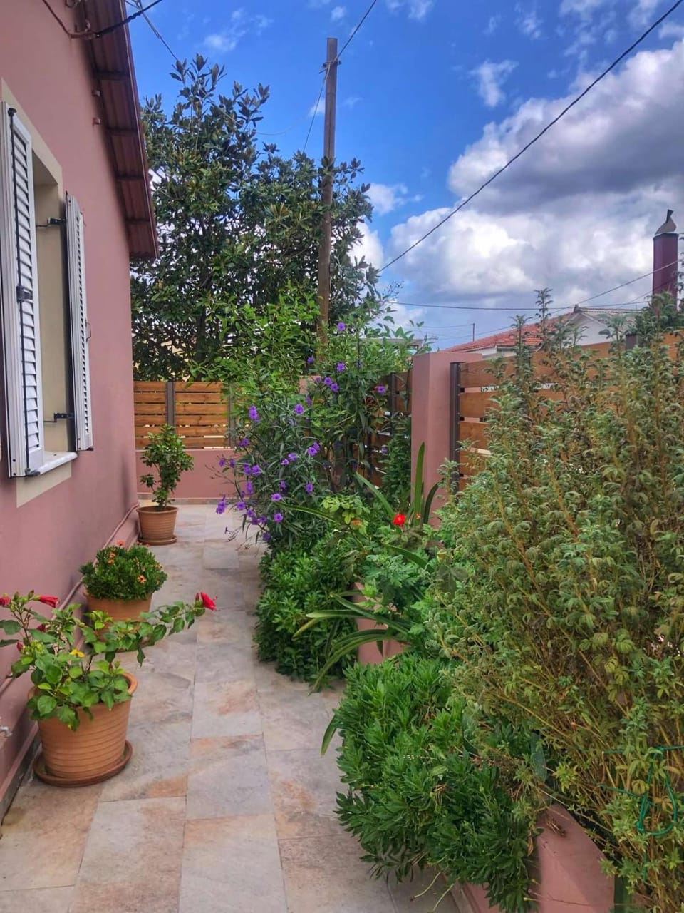 Property building, Garden, Garden view