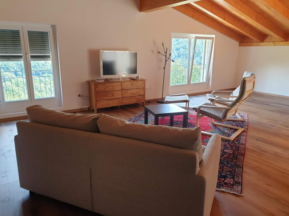 TV and multimedia, Living room