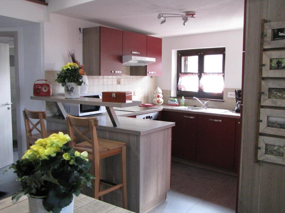 Le Bretzel Apartment in Ribeauvillé