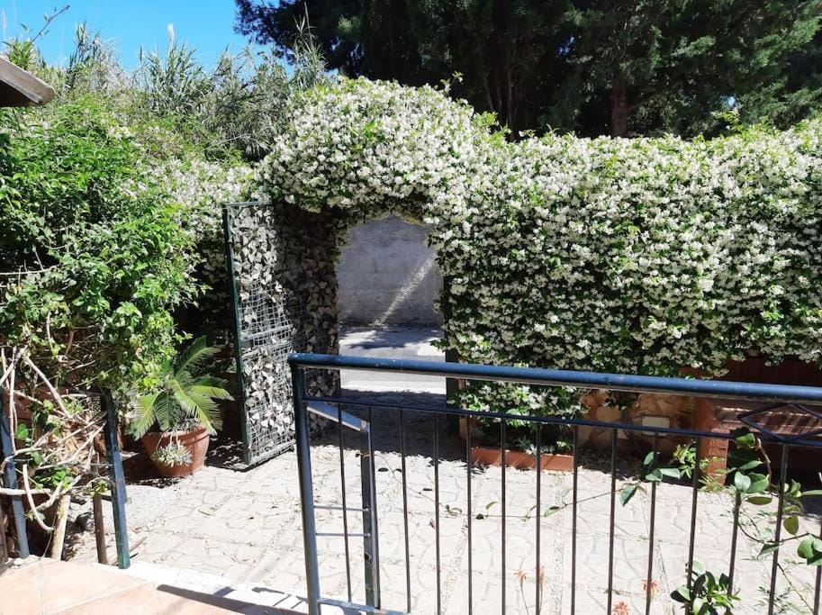 casa di Enrico Apartment in Palermo