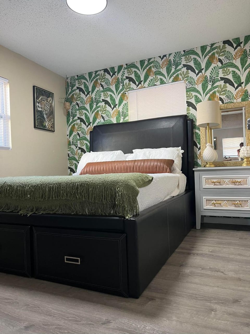 Tropical Casita in Tampa near airport and Raymond James stadium Apartment in Tampa