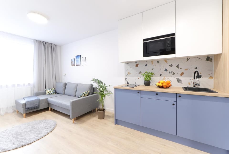 Kitchen or kitchenette, Living room, Seating area
