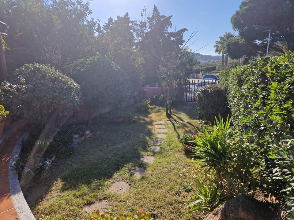 Spring, Garden, Garden view