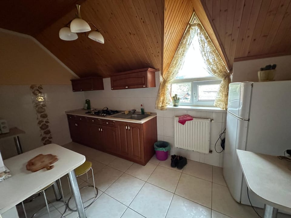 Kitchen or kitchenette, Dining area, stove
