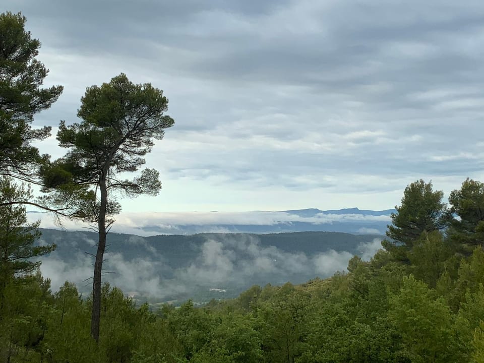 View (from property/room)