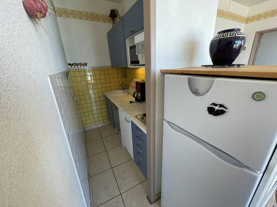 Saint-Cyprien : T2 cabine, climatisé, 6 pers, animaux admis, parking sécurisé - FR-1-106-78 Cabin in Saint-Cyprien