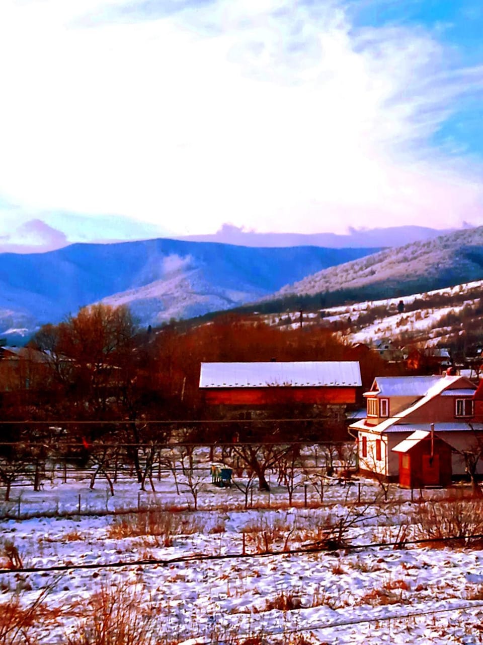 Chalet Ivanna Bed and Breakfast in Ukraine