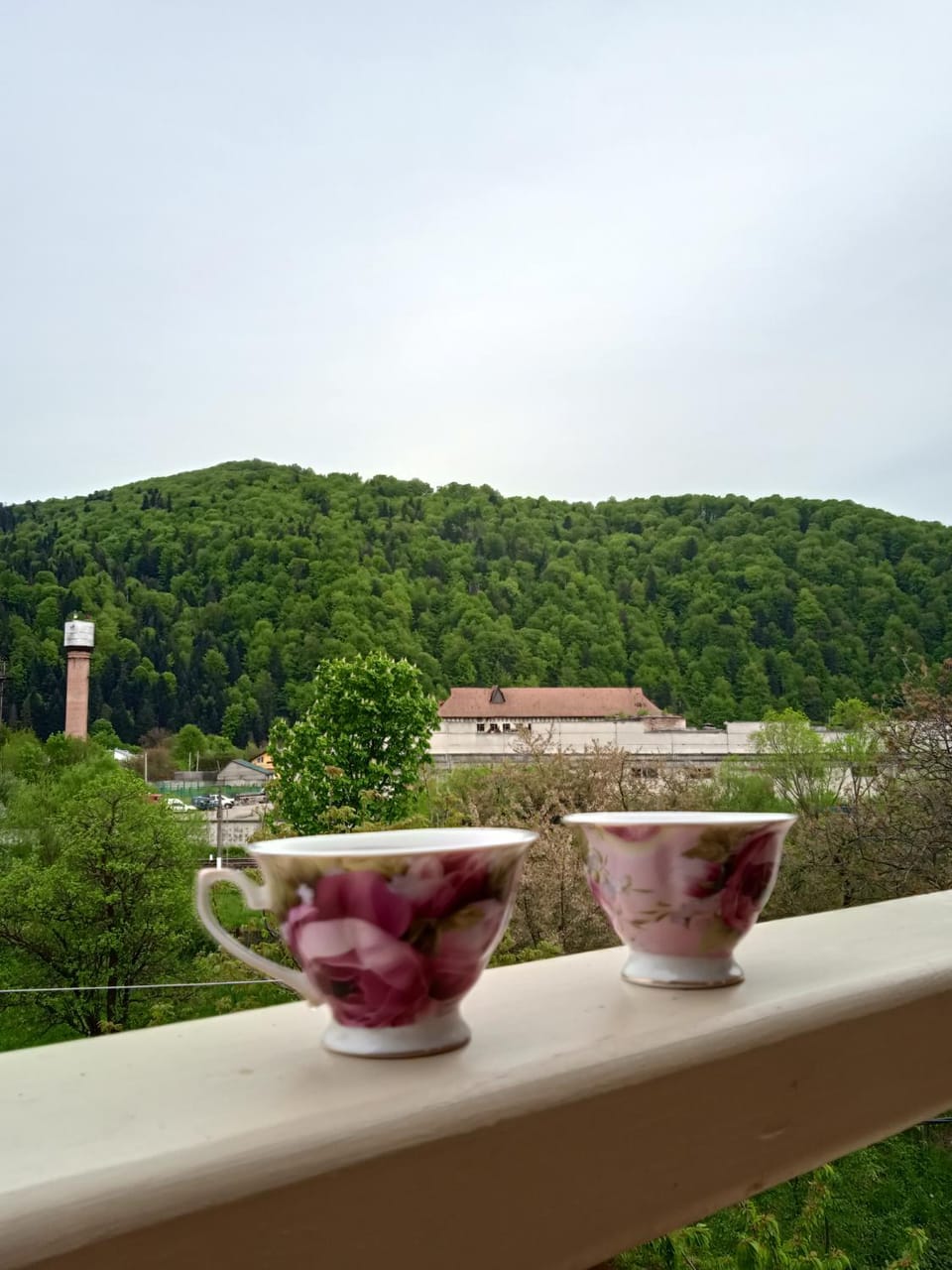 Chalet Ivanna Bed and Breakfast in Ukraine