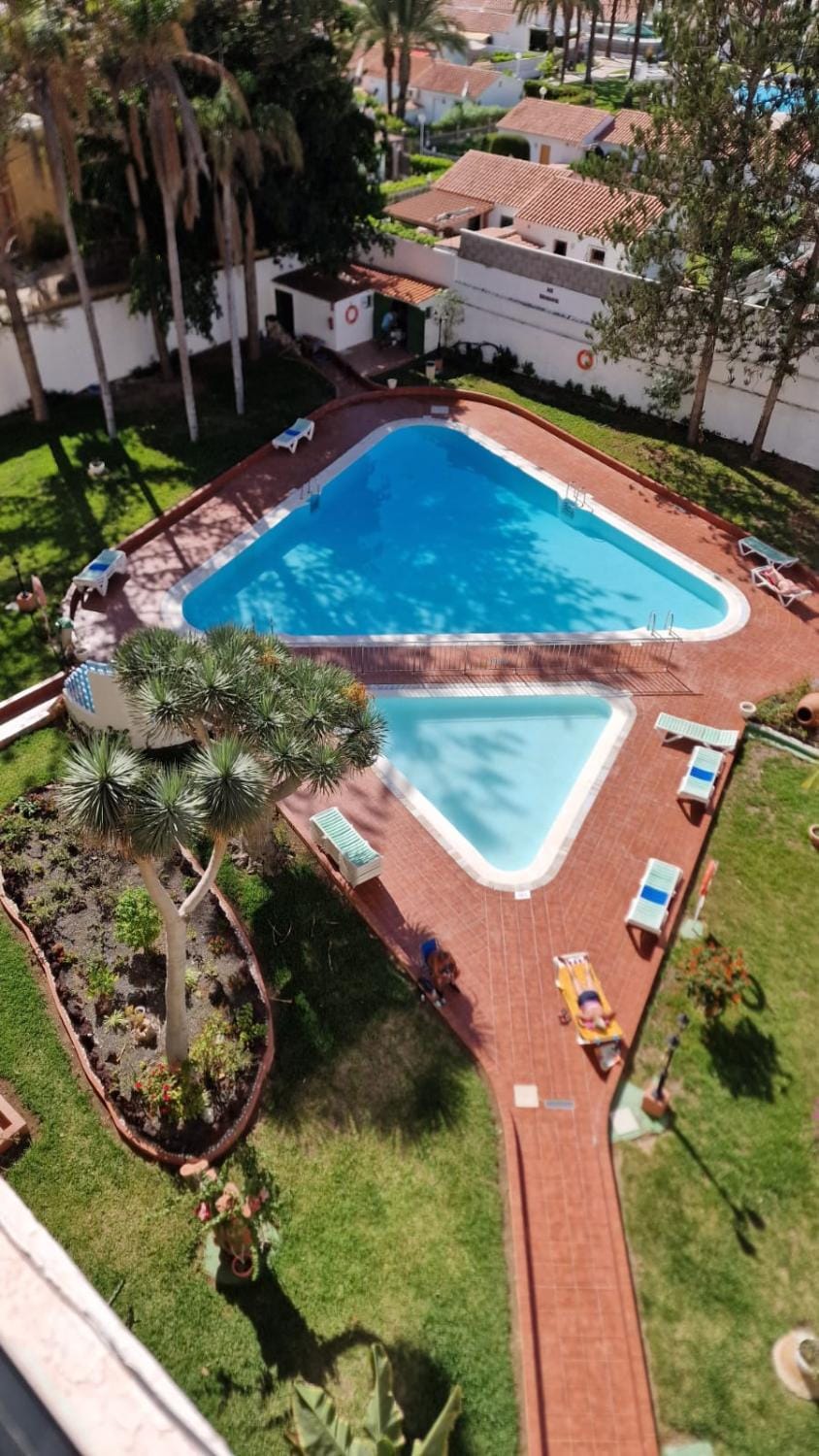 Garden, Garden view, Pool view, Swimming pool, Swimming pool