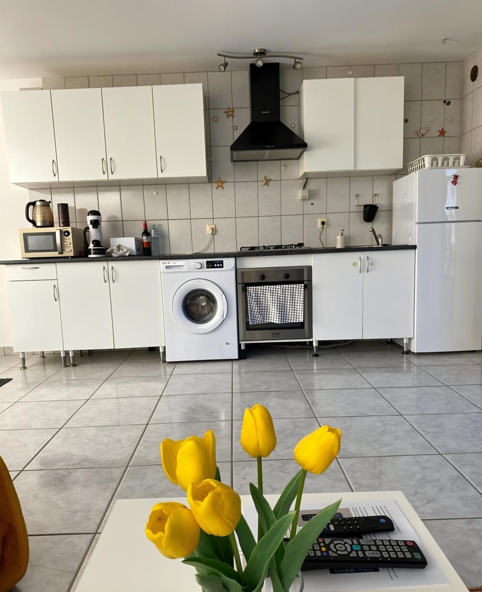 Kitchen or kitchenette, oven, stove, toaster, washing machine