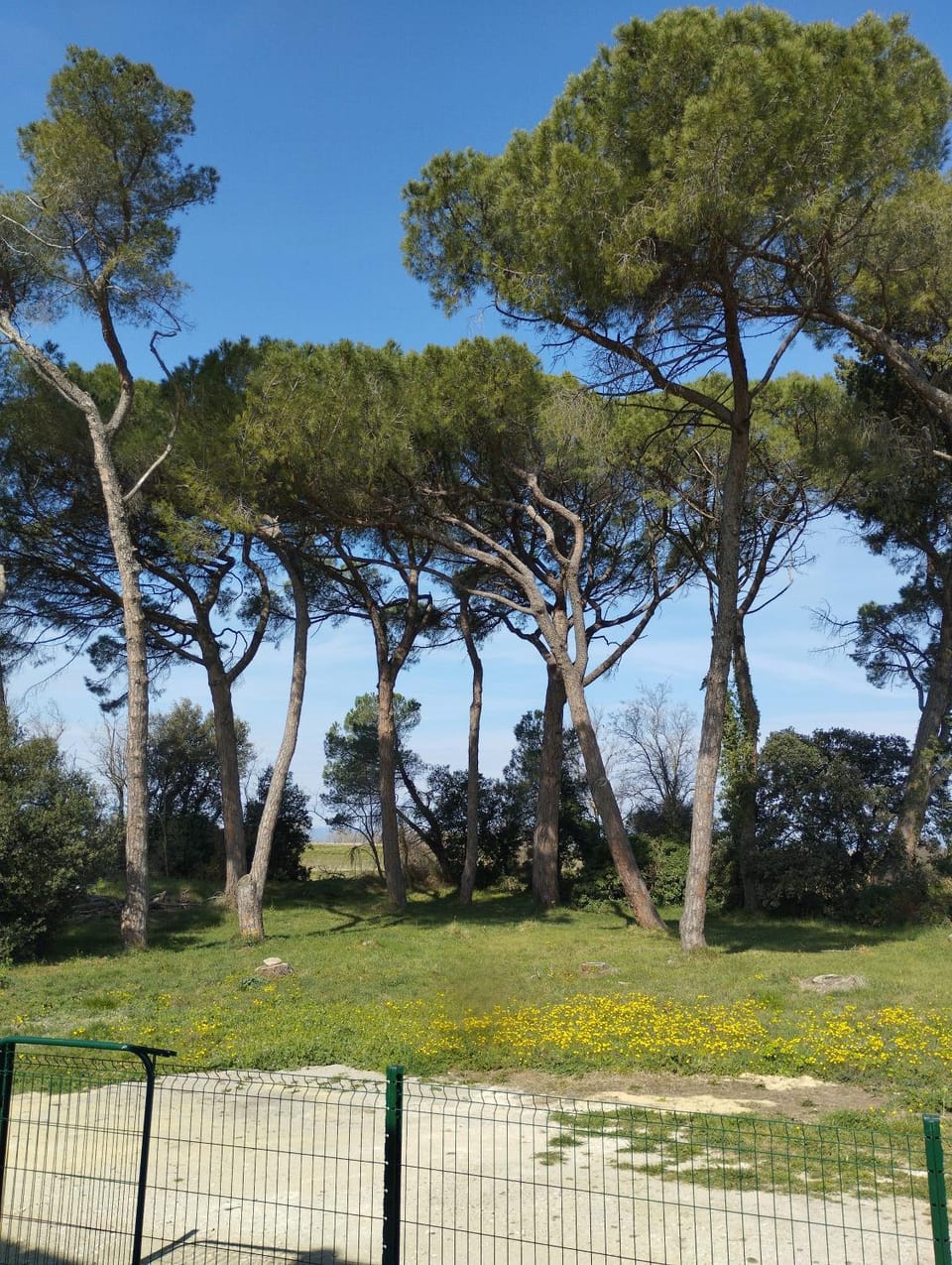 Spring, Natural landscape