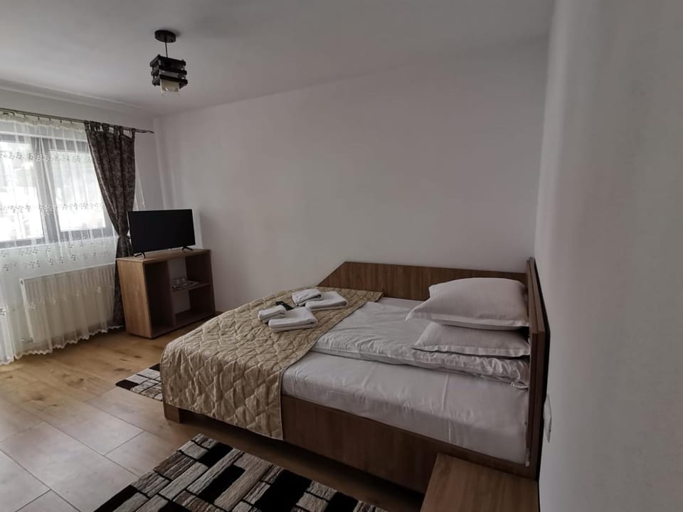 Casa Dana Olteanu Bed and Breakfast in Brașov County