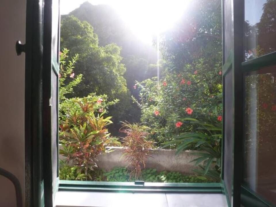 Natural landscape, Garden, Garden view