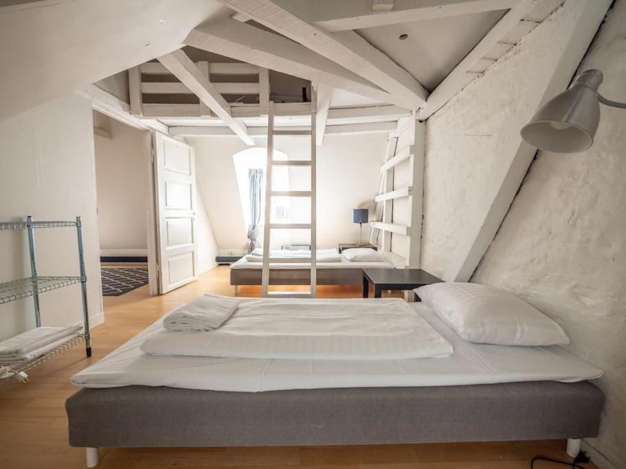 WHITE DOUPLEX CHARM: big flat in the city centre Apartment in Copenhagen