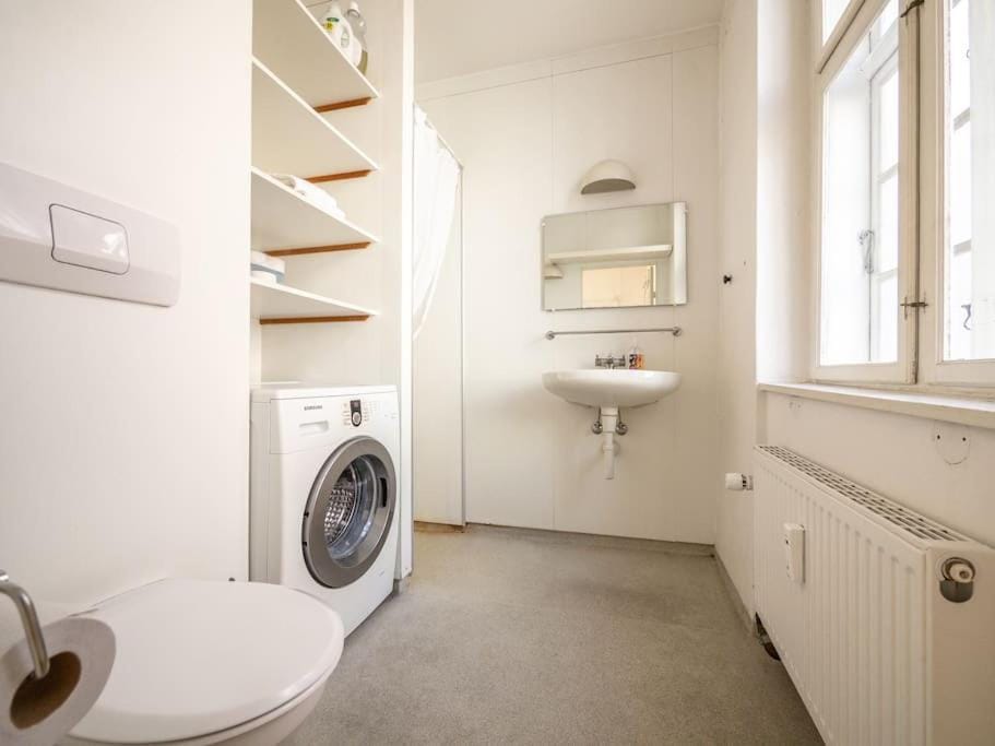 WHITE DOUPLEX CHARM: big flat in the city centre Apartment in Copenhagen