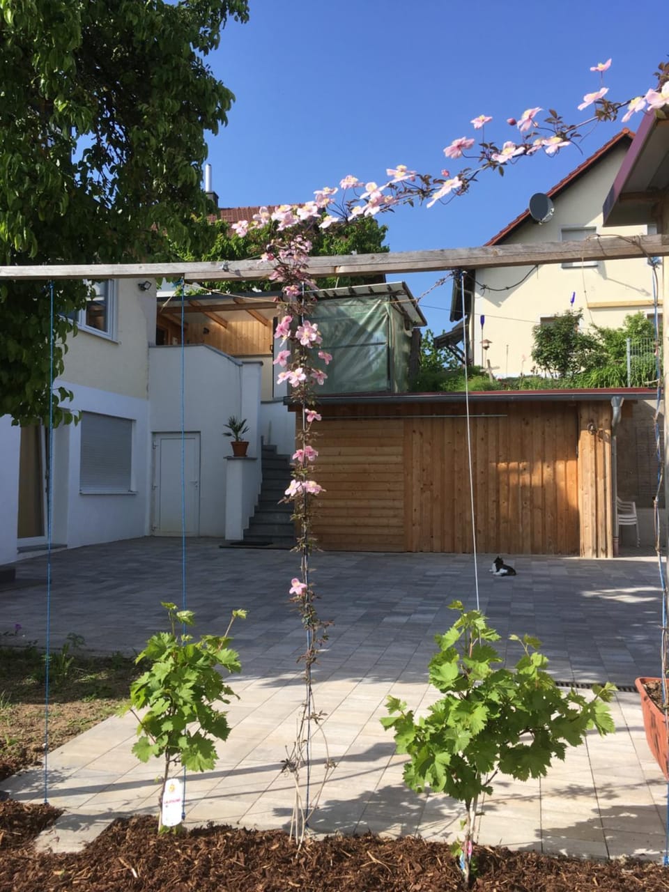 Property building, Spring, Garden, Garden view