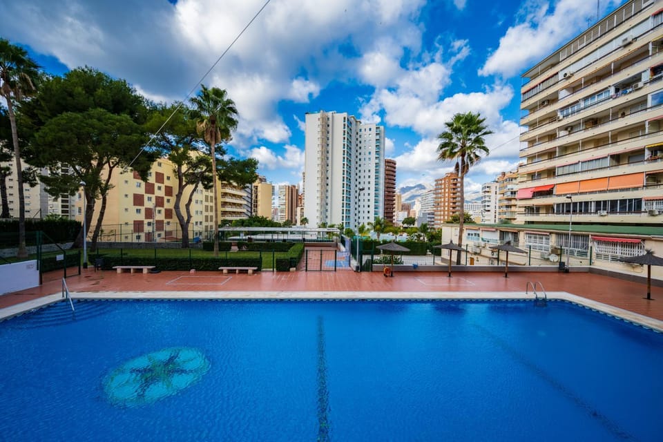 Garden, Pool view, Swimming pool