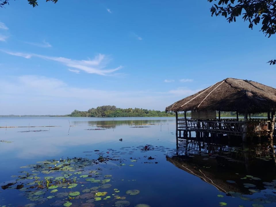 Lake view