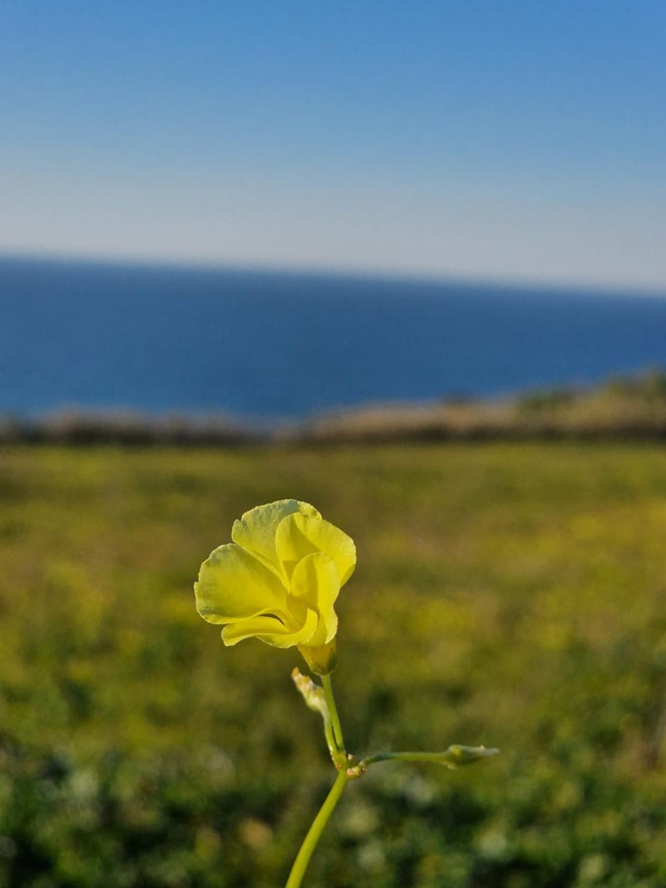 Natural landscape, Sea view