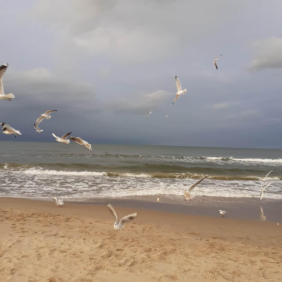 Apartament Zielna 2 Apartment in Pomeranian Voivodeship