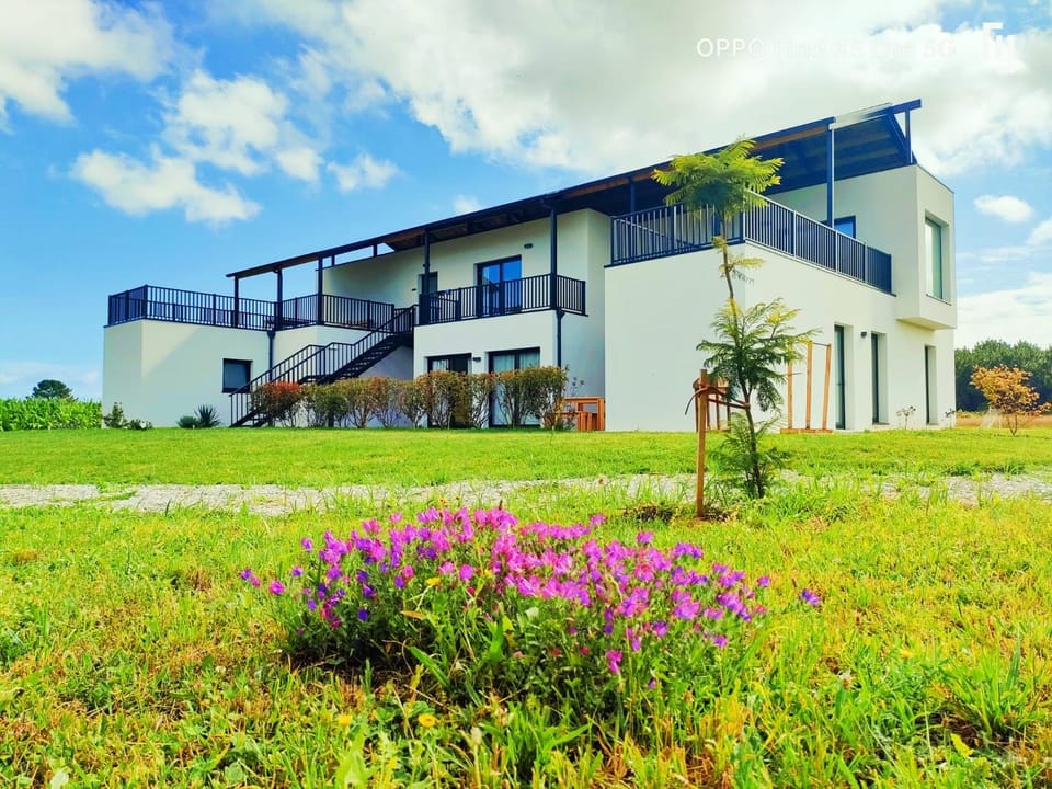 Property building, Garden view