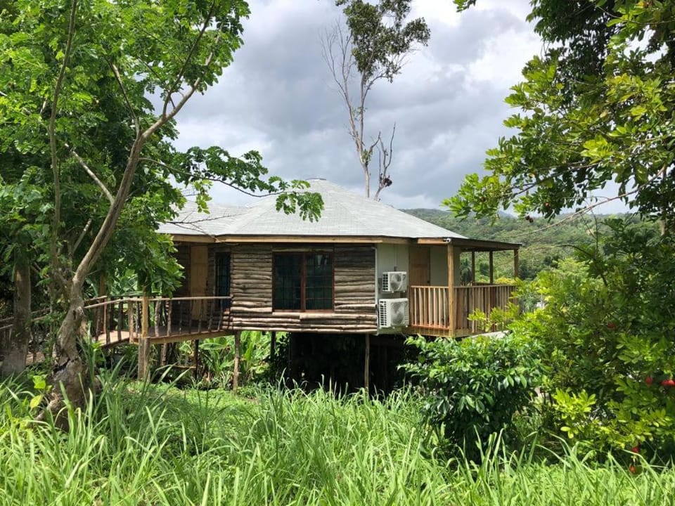 Tree House Luxe House in St. Ann Parish